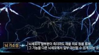 정상과 비정상의 과학, 조던 스몰러, 일리노이대학, 윌리엄 그리노, 가소성, 경험기대적, 두뇌발달, 허블 비셀, 안개 공포증, 시간공포증, 친척공포증, 숫자13공포증,유전학