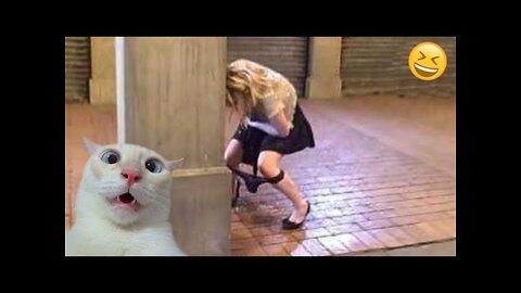 Funny Animal Videos 2022 || Best Dogs And Cats Videos