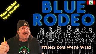 🎵 Blue Rodeo - When You Were Wild - New Music - REACTION