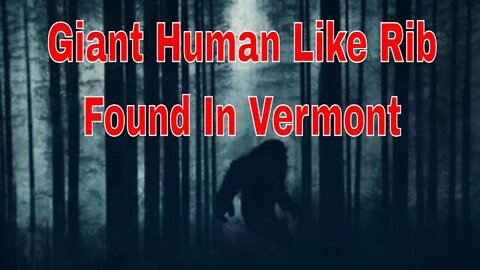 Giant Human Like Rib Found In Vermont