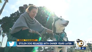 Stolen dog reunited with owner years later