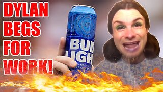 Dylan Mulvaney in SERIOUS TROUBLE! Begs for work as Bud Light GRIFT is OVER!