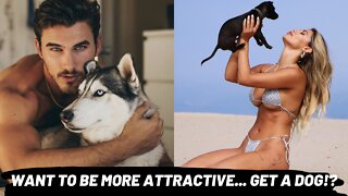 Owning A Dog Makes You Attractive!? Its Science! ...Basically