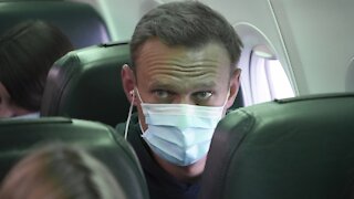 Alexei Navalny Detained Upon Return To Russia