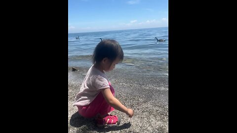 Toddler's Beach Adventure: From Taiwan to Canada 🌊