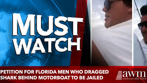 Petition calls for Florida men who dragged shark behind motorboat to be jailed