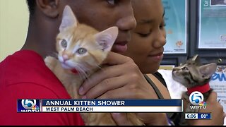 Annual kitten shower held at Peggy Adams Animal Rescue League