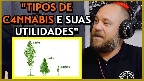 Tipos de Cannabis e suas utilidades - Na Malacast (Talk)