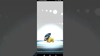 Pokémon GO-Evolving Shiny Shieldon