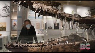 Massive sea monster skull excavated from UK’s ‘Jurassic Coast’