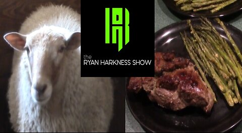 Episode #015: Sheepish | The Ryan Harkness Show