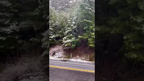 A peaceful video from alongside Hwy 35 in the Santa Cruz Mountains