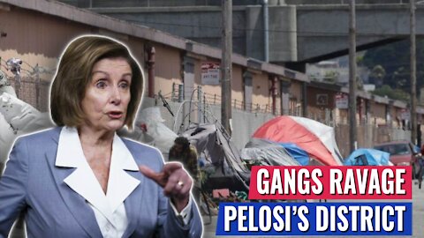 ORGANIZED GANGS RAVAGE NANCY PELOSI’S DISTRICT IN BROAD DAYLIGHT