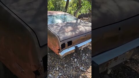 Deck lid returns for 1973 Dodge Dart Sport