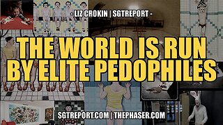 THE WORLD IS RUN BY ELITE PEDOPHILES -- LIZ CROKIN | SGTREPORT