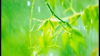 10 Minutes of relaxing rain sounds for Meditation Ideal for Beginners