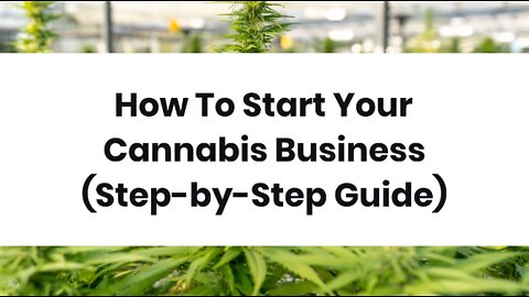 How To Start Your Cannabis Business (Step-by-Step Guide)