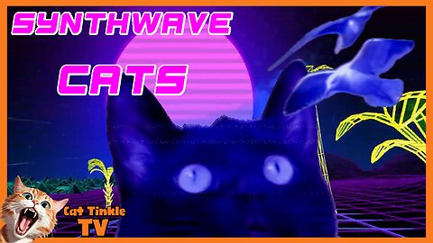 Synthwave Cats Music Video- Feline Dreams '80s Retro' | Cat Tinkle TV