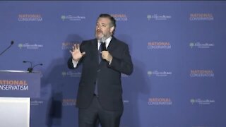 Sen Cruz States Basic Truths Which Will Anger Libs