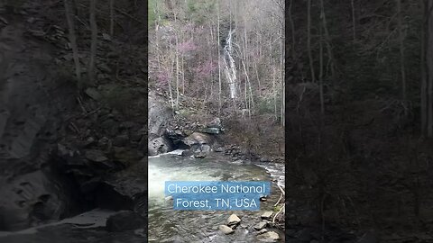AMAZING! Double Waterfalls in the Cherokee National Forest #shorts #overland #waterfall