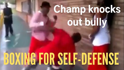 BOXING for SELF DEFENSE: Boxing champ KNOCKS OUT bully