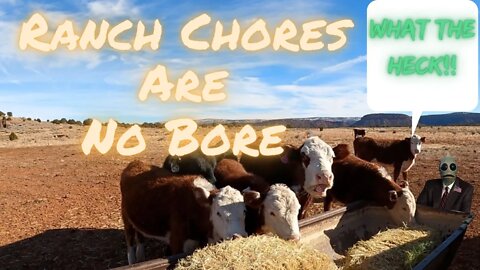 Ranch Chores