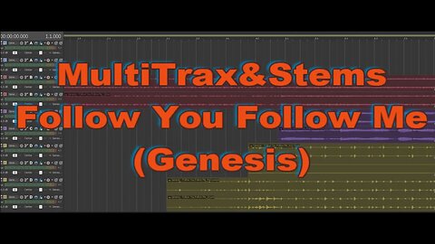 MultiTrax&Stems - Follow You Follow Me (Genesis)