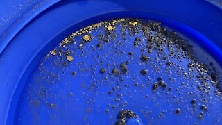 Gold Panning 2