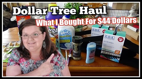 Dollar Tree Haul | Dollar Tree Plus | What I Got For $44 Dollars!