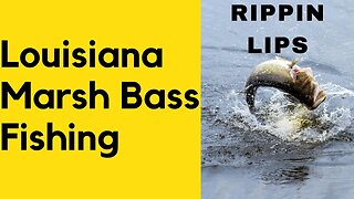 BASS Fishing in the Marsh!! Louisiana MARSH Bass Fishing, Rippin Lips