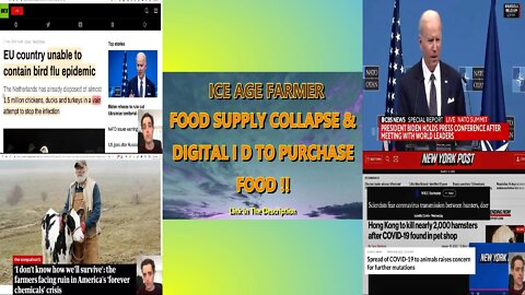 FOOD SUPPLY COLLAPSE & DIGITAL I D TO PURCHASE FOOD.