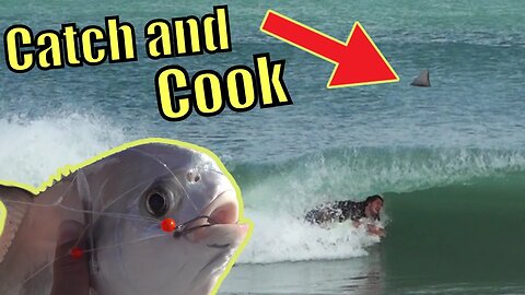 Fishing and Surfing with SHARKS! Permit vs Pompano Catch and Cook