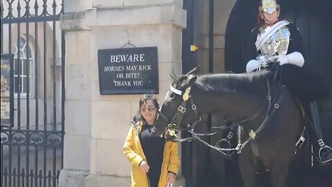 Don't approach a horse when it ears go back #horseguardsparade