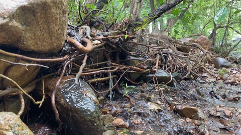 Water 💦ll Nature sound I| Nature videography