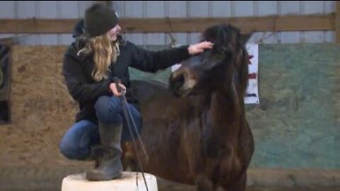 18-Year-Old Trains Mustangs to Be Adoptable