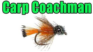 Carp Coachman Fly Tying - Great For Picky Carp in Skinny Water