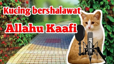 Kucing bershalawat Allahul kafi