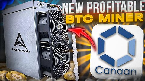New PROFITABLE Bitcoin Miner! Avalon Made A1366 Review, How To Setup & Current Profitability