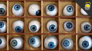 Stuff to Blow Your Mind: The Blue Eye Illusion - Science on the Web