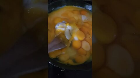 Cooking Eggs for Chickens