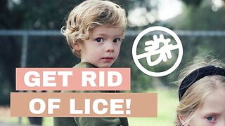 Effective Ways to Eliminate Lice in Kids, Toddlers, and Adults | Jessica Hover