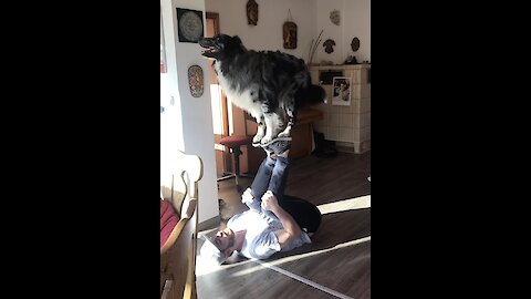 This dog and his owner pull off some mind-blowing tricks!