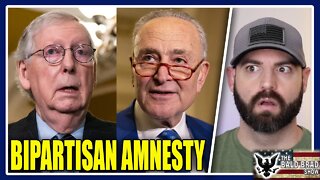 Democrats want amnesty