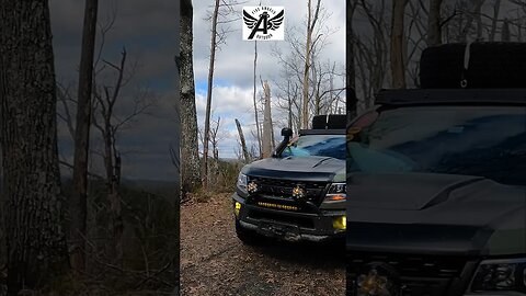 Mountaintop Views and Storm Devastation of Trees in Tennessee #shorts #overland