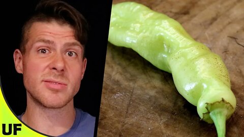 Sugar Rush Pepper Taste Test | Unusual Foods