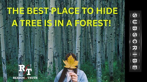 The Best Place To Hide A tree Is In A Forest (PT1)