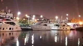 Yacht is stolen from marina and collides with other boats