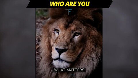 WHO ARE YOU? AWAKEN THE BEAST #shorts #life #inspiration #motivation #fyp #strong