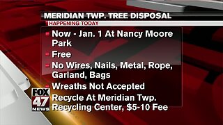 Meridian Twp. tree disposal