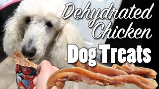 Dehydrated Chicken Dog Treats